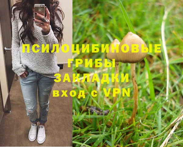 мдпв Бугульма