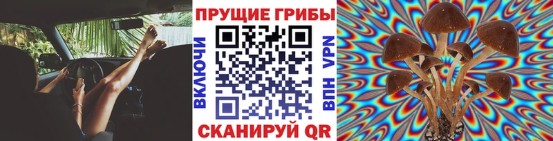 Купить  Лесозаводск  Псилоцибиновые грибы MAGIC MUSHROOMS 